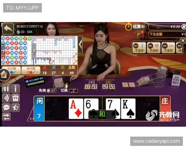 专业分析真人百家乐游戏的玩法规则与投注技巧，提升你的胜率与娱乐体验