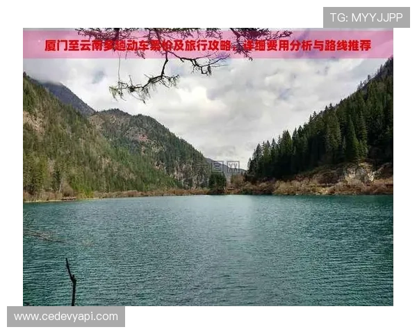 开云真人在哪个地方打开方便快捷的攻略分析